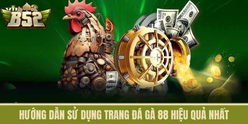 Hướng Dẫn Sử Dụng Trang Đá Gà 88 Hiệu Quả Nhất