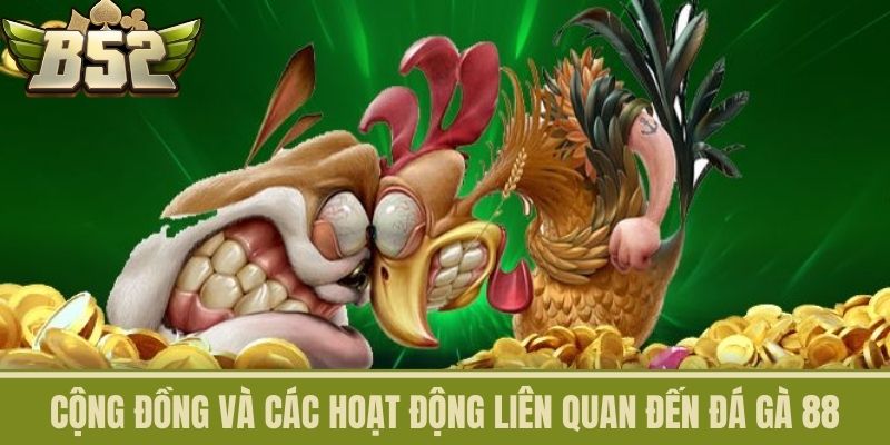 Cộng Đồng Và Các Hoạt Động Liên Quan Đến Đá Gà 88