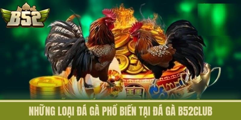 Những loại Đá Gà phổ biến tại Đá Gà B52CLUB