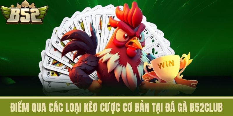 Điểm qua các loại kèo cược cơ bản tại Đá Gà B52CLUB