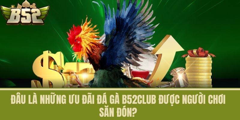 Đâu là những ưu đãi Đá Gà B52CLUB được người chơi săn đón?