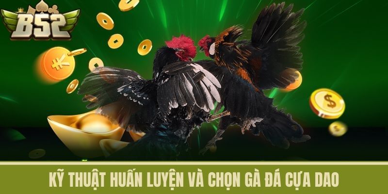 Kỹ Thuật Huấn Luyện và Chọn Gà Đá Cựa Dao