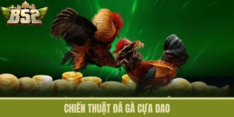 Chiến Thuật Đá Gà Cựa Dao