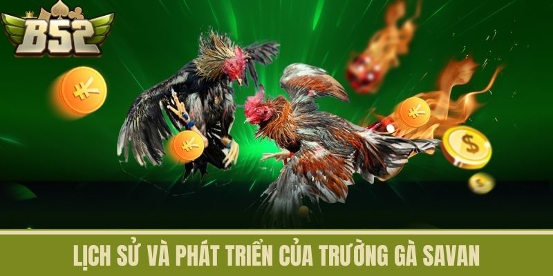 Lịch Sử Và Phát Triển Của Trường Gà Savan