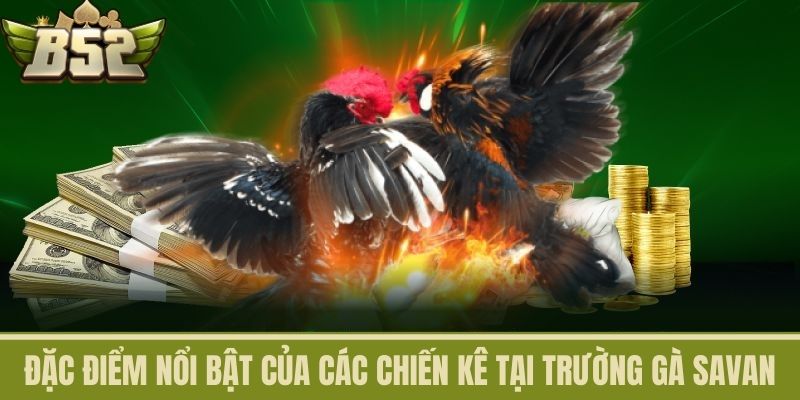Đặc Điểm Nổi Bật Của Các Chiến Kê Tại Trường Gà Savan