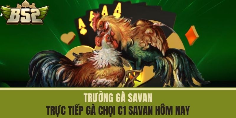 trường gà savan thumb
