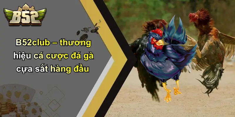 B52club – thương hiệu cá cược đá gà cựa sắt hàng đầu