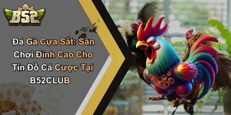 Đá Gà Cựa Sắt: Sân Chơi Đỉnh Cao Cho Tín Đồ Cá Cược Tại B52CLUB