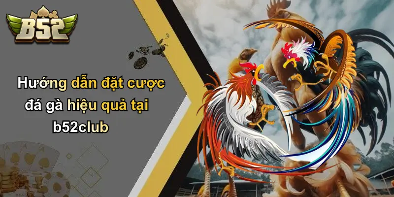 Hướng dẫn đặt cược đá gà hiệu quả tại b52club