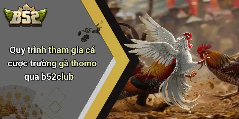 Quy trình tham gia cá cược trường gà thomo qua b52club