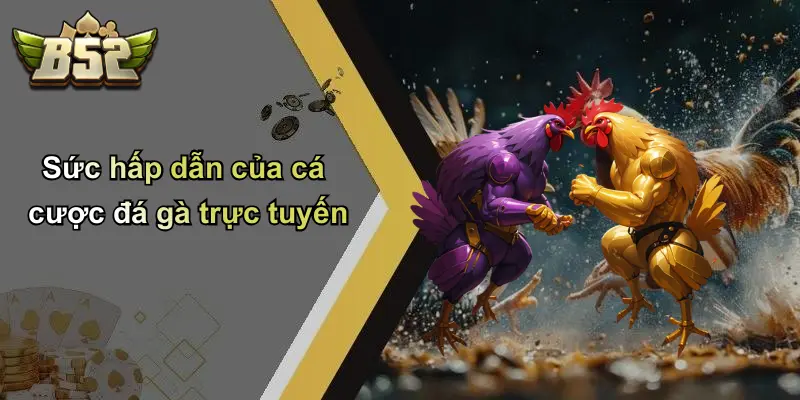 Sức hấp dẫn của cá cược đá gà trực tuyến