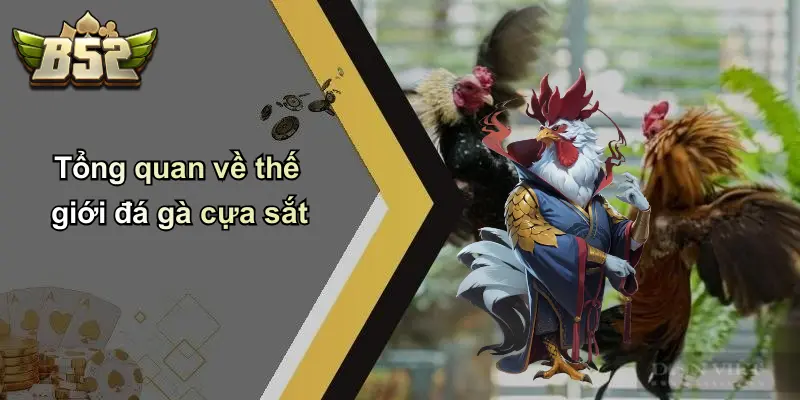 Tổng quan về thế giới đá gà cựa sắt