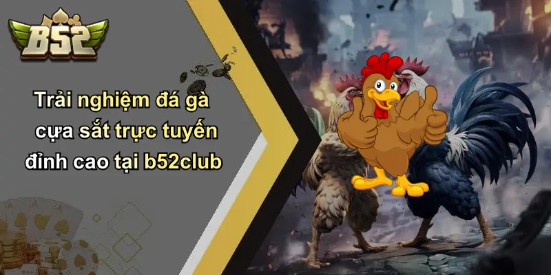 Trải nghiệm đá gà cựa sắt trực tuyến đỉnh cao tại b52club